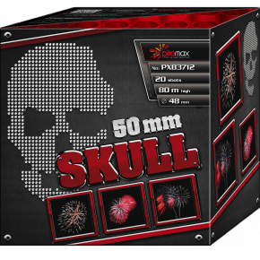 PXB3712 Skull
