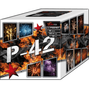 PXB2407 P-42
